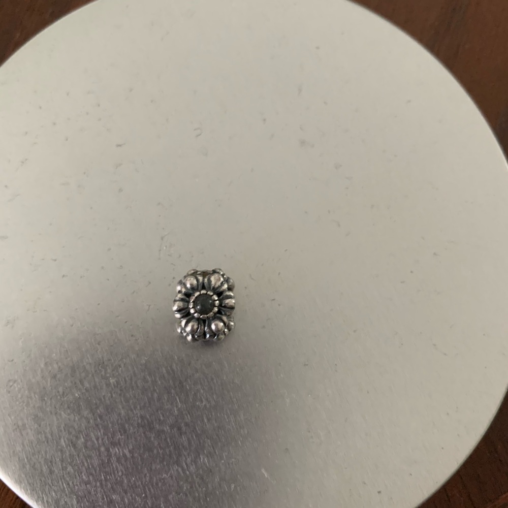 Pandora Charm